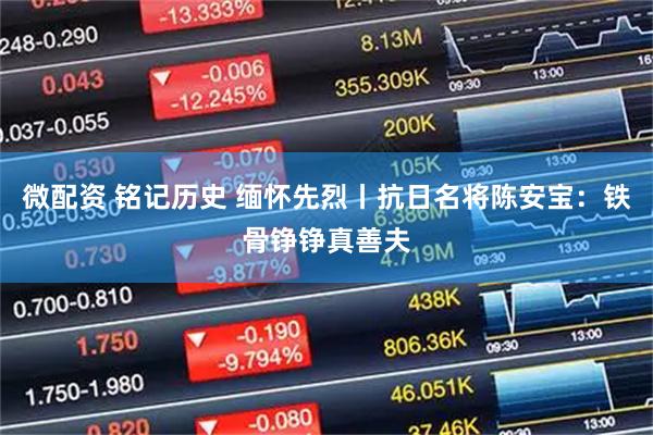 微配资 铭记历史 缅怀先烈丨抗日名将陈安宝：铁骨铮铮真善夫