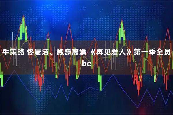 牛策略 佟晨洁、魏巍离婚 《再见爱人》第一季全员be