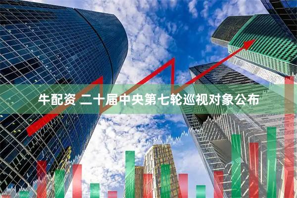 牛配资 二十届中央第七轮巡视对象公布